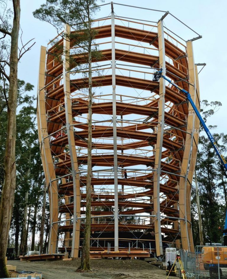 Treetop walk will open soon at Avondale Forest Park